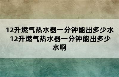 12升燃气热水器一分钟能出多少水 12升燃气热水器一分钟能出多少水啊